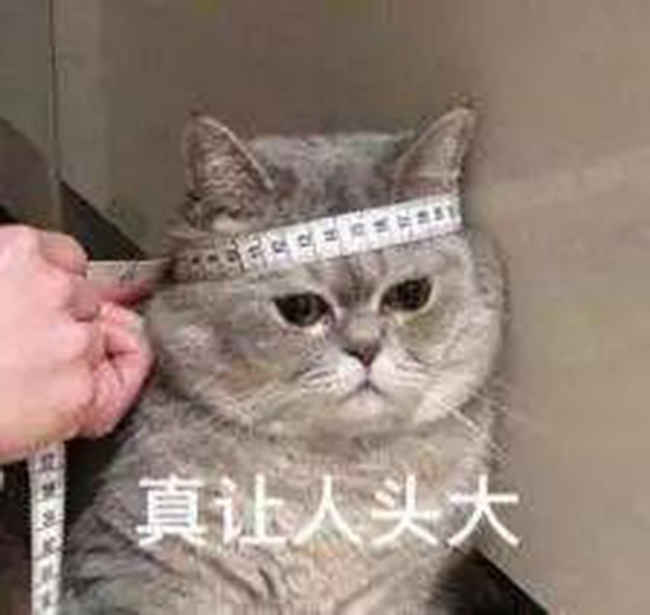 無人警務自助終端落戶阜陽機場！忘帶身份證也不用急了